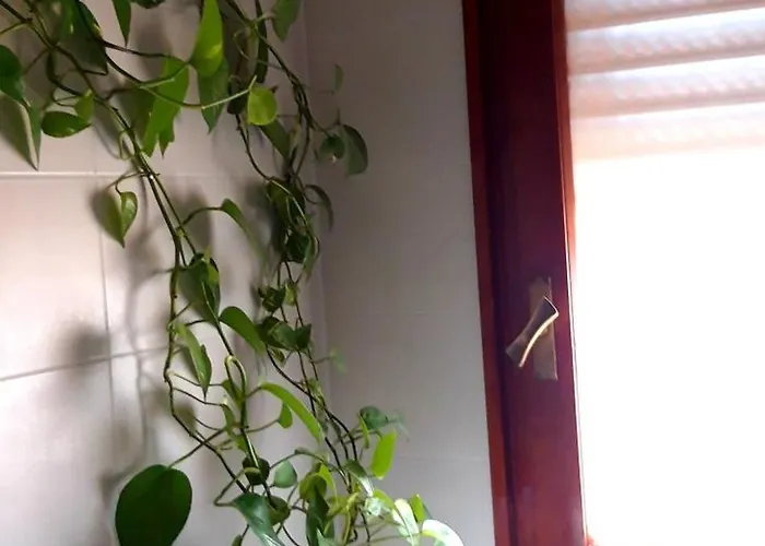 Affittacamere Camera Luminosa Ed Elegante