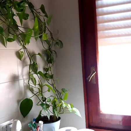 Pensión Camera Luminosa Ed Elegante